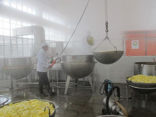 新年新氣象，飲料廠與酒店管理共譜開(kāi)年新篇章
