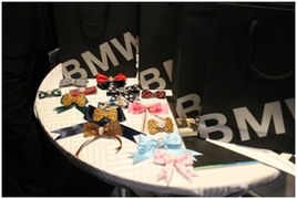 京順寶BMW 3系麗人節主題活動圓滿落幕，以“悅己”之姿，馭風而行