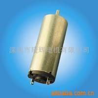 深圳市隆輝電機 電吹風領域的專業制造者